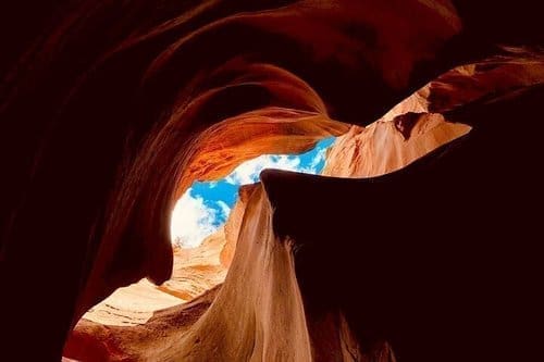 découvrez zion, un trésor naturel majestueux de l'utah, où des paysages époustouflants, des randonnées à couper le souffle et une biodiversité unique vous attendent. explorez ses canyons impressionnants, ses formations rocheuses spectaculaires et laissez-vous séduire par la beauté sauvage de ce parc national incontournable.