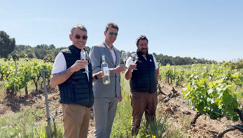 découvrez lepinasse, berceau des traditions viticoles en 2025 : patrimoine, savoir-faire et nouveautés autour des vins d'exception. plongez au cœur d'une culture authentique.