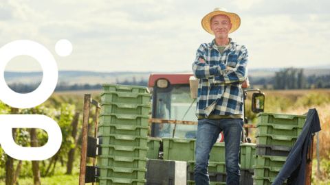 découvrez lepinasse et ses traditions viticoles en 2025 : histoire, savoir-faire et innovations autour du vin pour les passionnés et curieux.