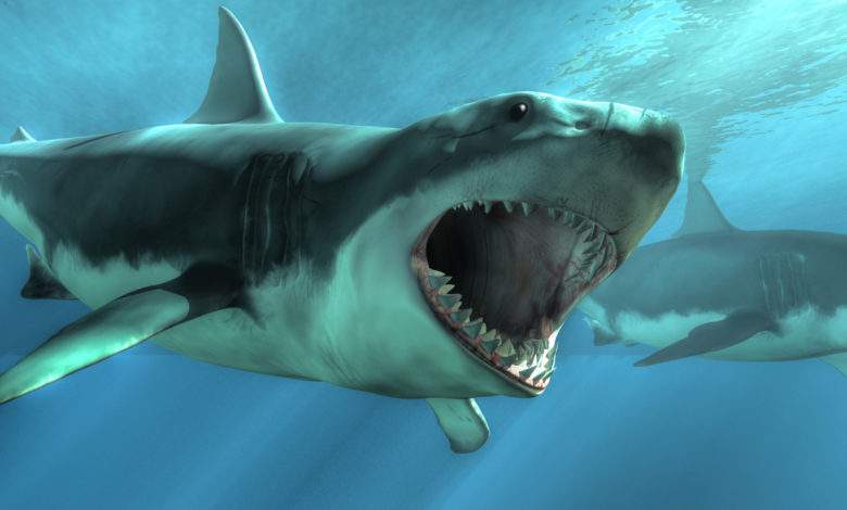 découvrez l'étrange et fascinant univers du requin extraterrestre : origines mystérieuses, apparence insolite et théories sur son existence. plongez dans un monde où science-fiction et merveilles des abysses se rencontrent !