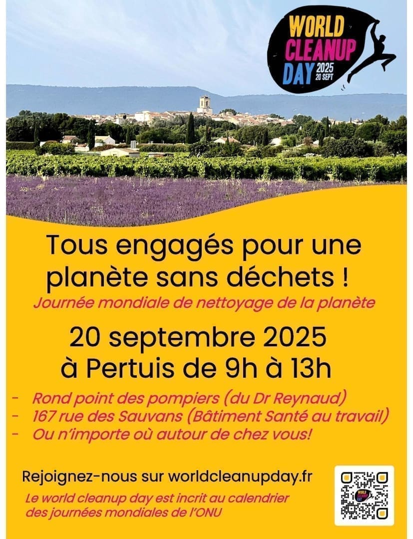 découvrez notre avis complet sur wordans en 2025 : fiabilité, qualité des produits, tarifs et retours clients. tout ce qu’il faut savoir avant de commander sur wordans cette année.