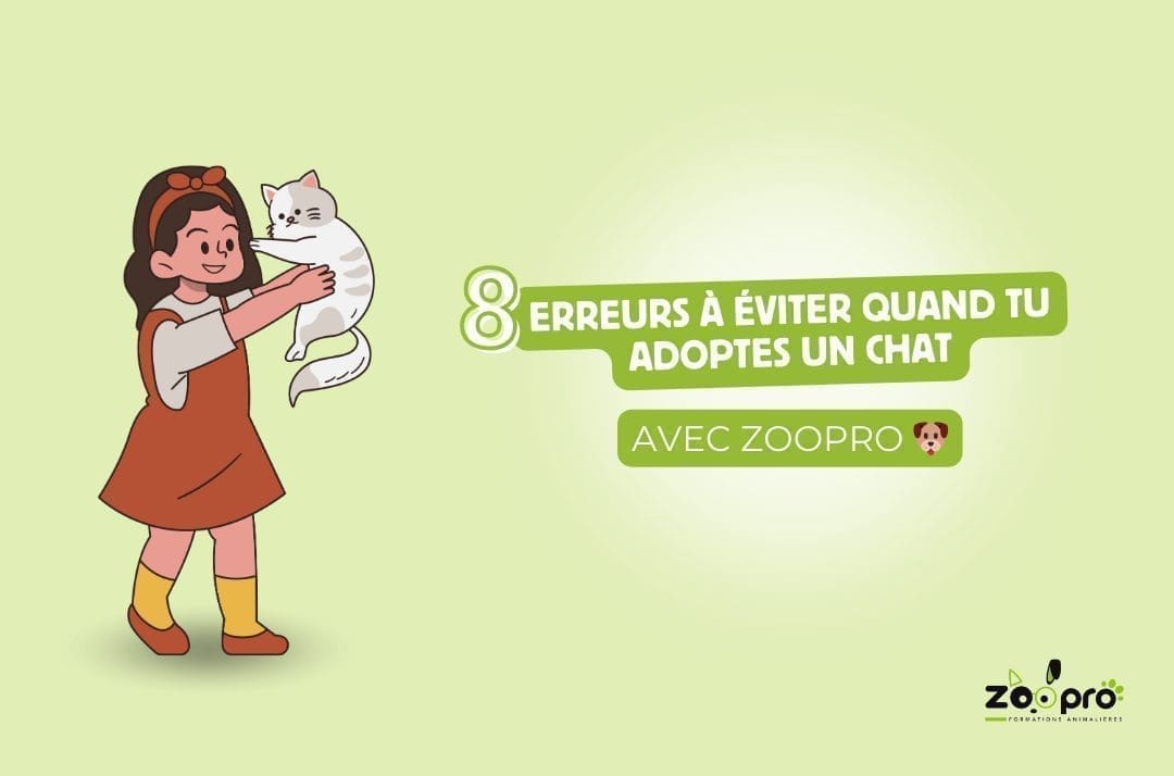 découvrez comment chat control présente un taux d'erreurs de 50% et soulève de graves inquiétudes sur la confidentialité des utilisateurs.