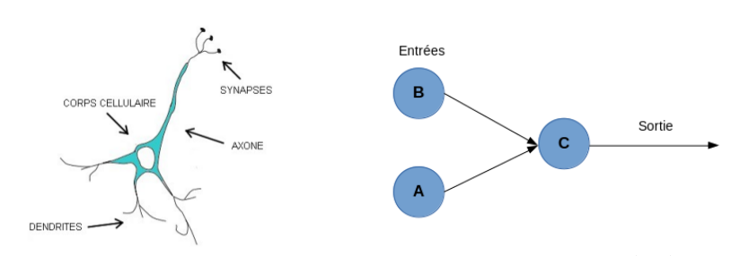découvrez l'authentification neuronale, une technologie innovante qui utilise les réseaux neuronaux pour renforcer la sécurité des accès numériques.