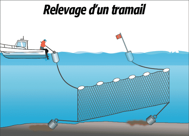 découvrez pourquoi la taille des mailles de filet de pêche est cruciale pour préserver les ressources marines et assurer une pêche durable.