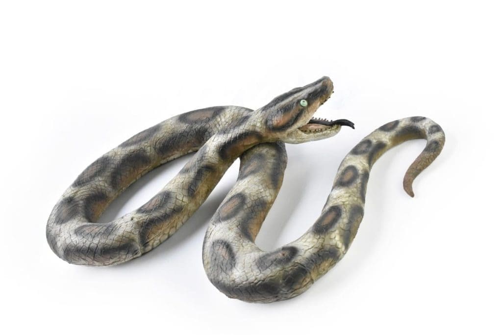 découvrez le mot 'anaconda' en 7 lettres : signification, utilisation et exemples pour enrichir votre vocabulaire.