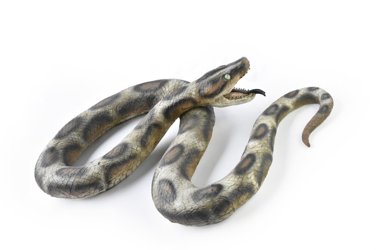 découvrez le mot 'anaconda' en 7 lettres : signification, utilisation et exemples pour enrichir votre vocabulaire.
