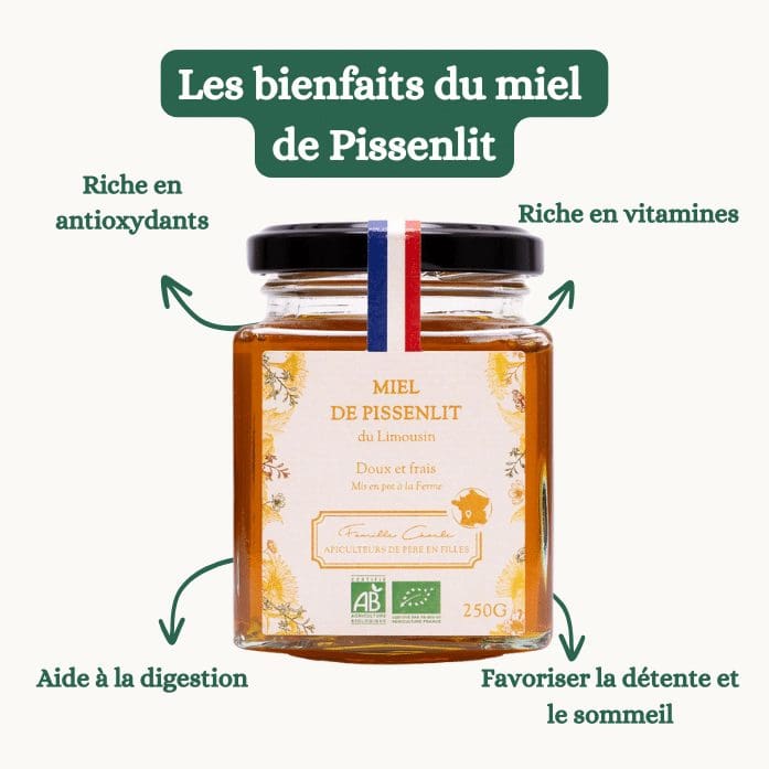 découvrez les bienfaits du pissenlit pour la santé : propriétés diurétiques, dépuratives et riches en vitamines, une plante naturelle à intégrer dans votre alimentation.
