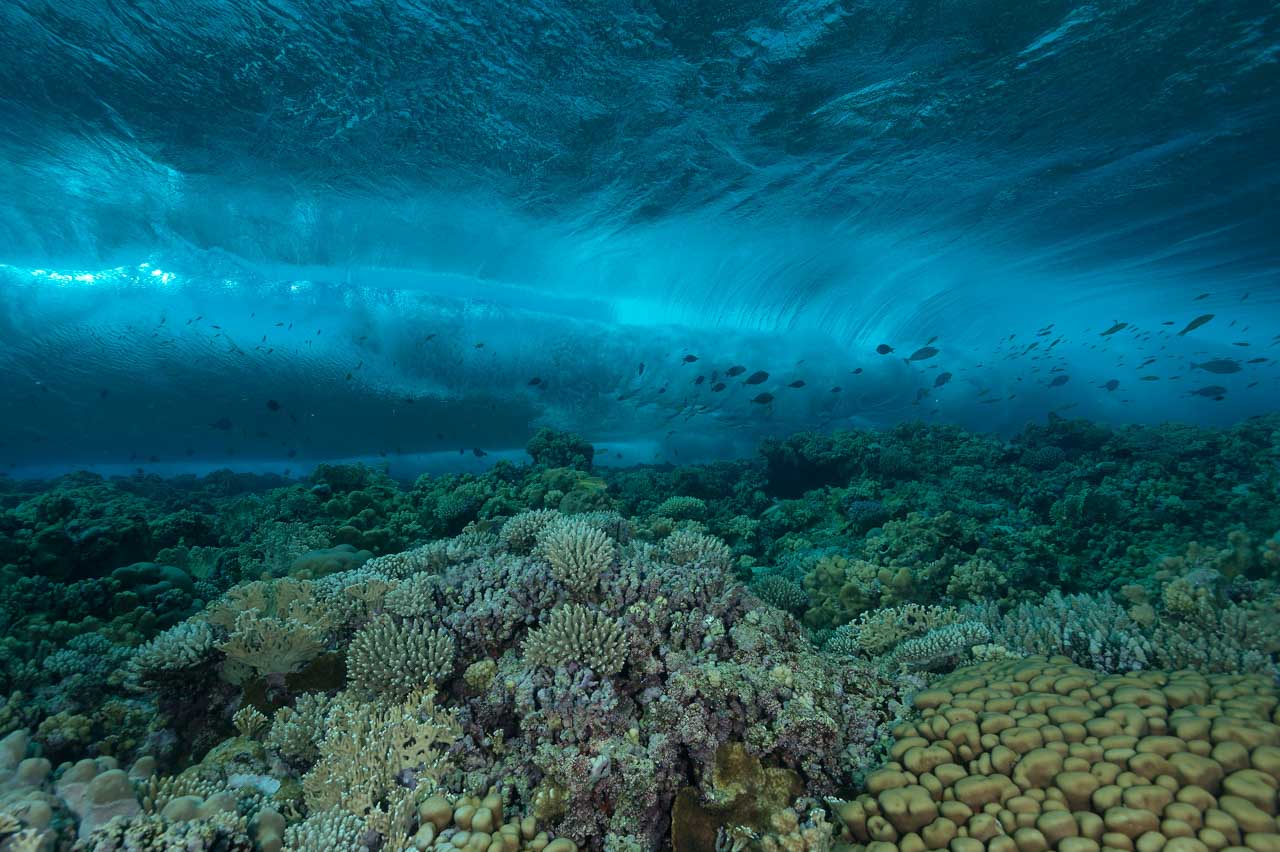 découvrez une collection captivante de photographies bleues mettant en valeur la beauté des paysages marins, entre ciel et océan.