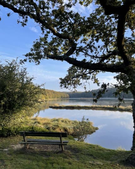 découvrez saint maurice de lignon, un joyau naturel offrant paysages préservés, sentiers de randonnée et une faune variée pour les amateurs de nature et de plein air.